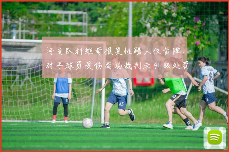 河南队科维奇报复性踢人仅黄牌，对手球员受伤离场裁判未升级处罚？