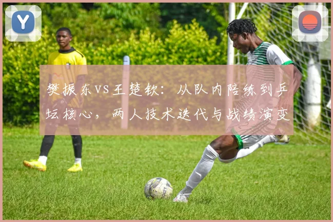 樊振东vs王楚钦：从队内陪练到乒坛核心，两人技术迭代与战绩演变对比